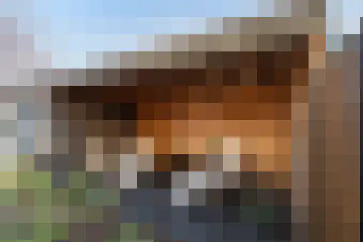 Fossastraat 1 Naaldwijk thumbnail 16