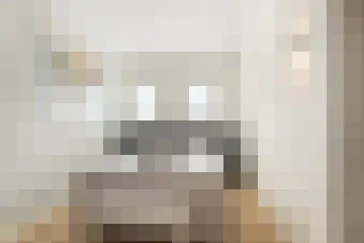 Fossastraat 1 Naaldwijk thumbnail 23