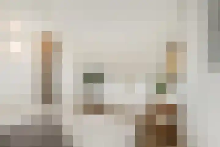 Fossastraat 1 Naaldwijk thumbnail 24
