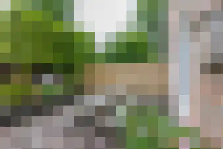 Fossemaheerd 140 Groningen thumbnail 30