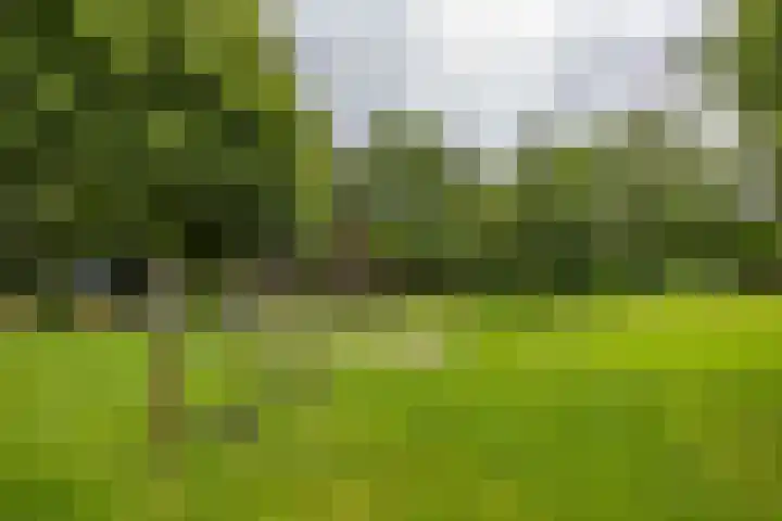 Fossemaheerd 140 Groningen thumbnail 37