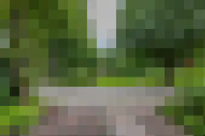 Fossemaheerd 140 Groningen thumbnail 39