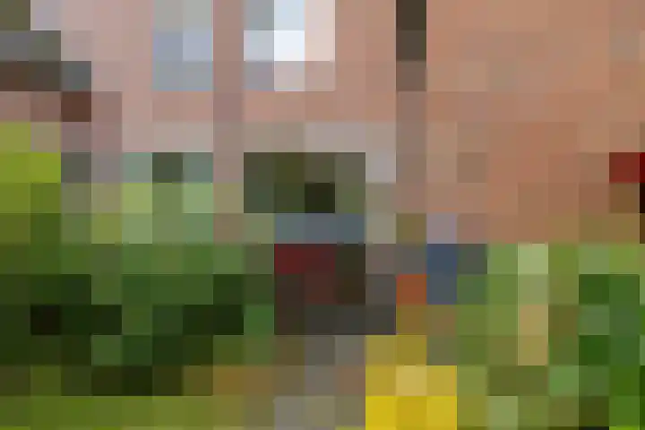 Fossemaheerd 155 Groningen thumbnail 12
