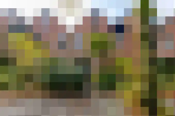 Fossemaheerd 155 Groningen thumbnail 13