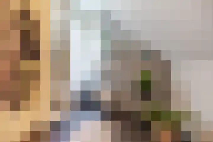Fossemaheerd 155 Groningen thumbnail 50