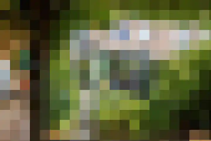 Fossemaheerd 155 Groningen thumbnail 62
