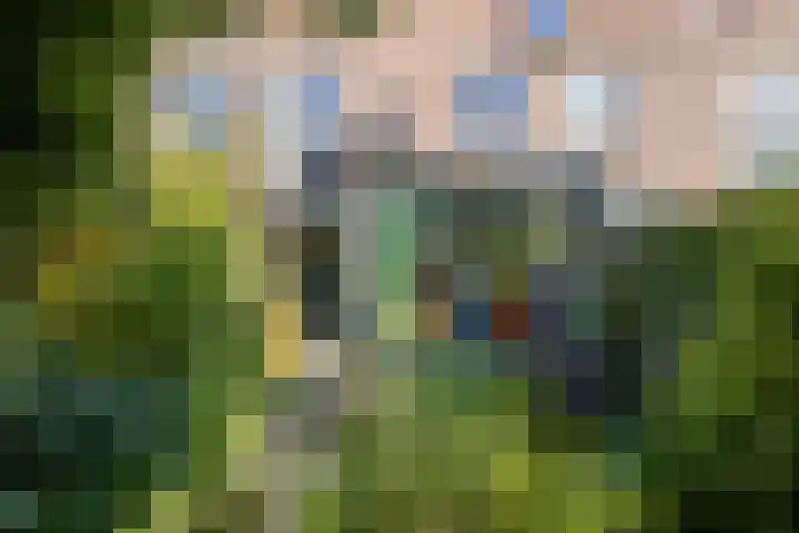 Fossemaheerd 155 Groningen thumbnail 63