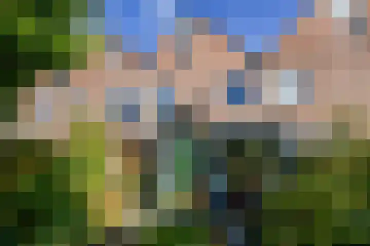 Fossemaheerd 155 Groningen thumbnail 64
