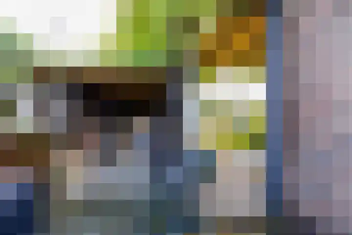 Fossemaheerd 155 Groningen thumbnail 66