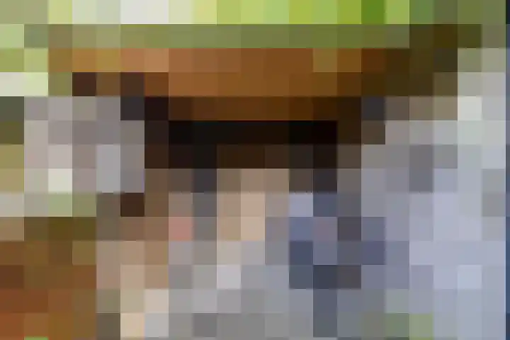 Fossemaheerd 155 Groningen thumbnail 67