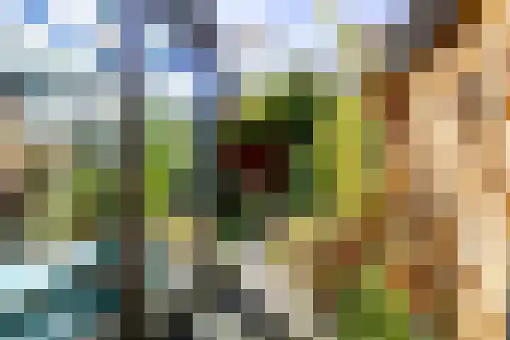 Fossemaheerd 155 Groningen thumbnail 7
