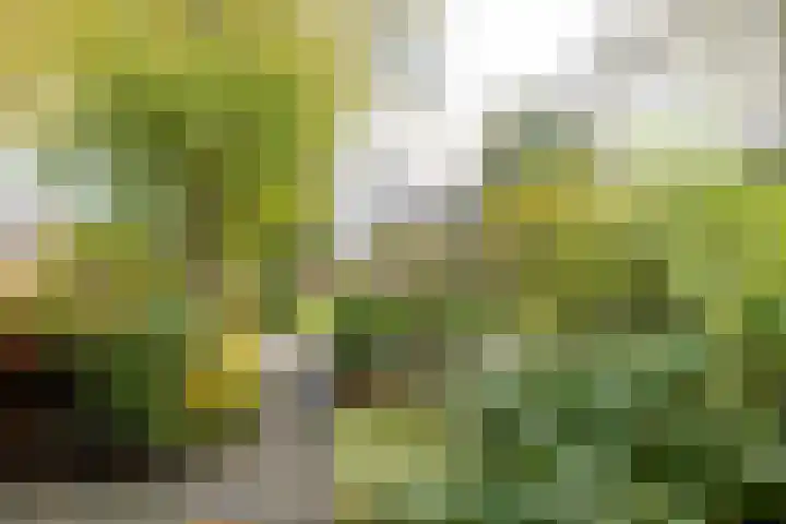 Fossemaheerd 155 Groningen thumbnail 70