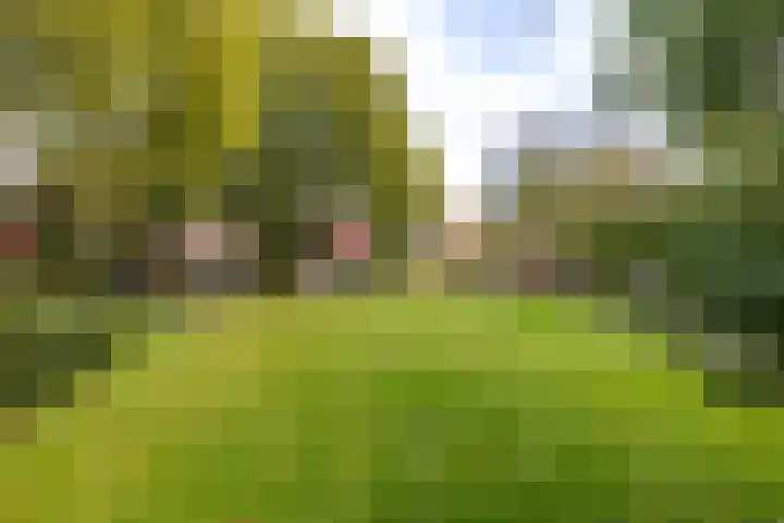 Fossemaheerd 155 Groningen thumbnail 72