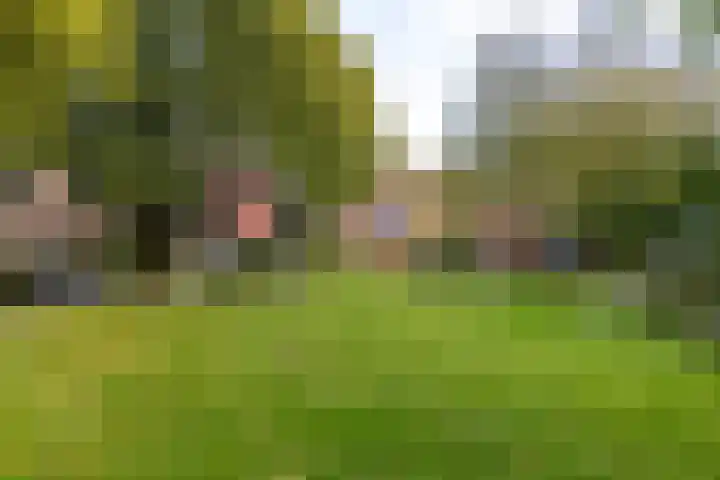Fossemaheerd 155 Groningen thumbnail 73