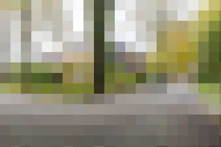 Fossemaheerd 155 Groningen thumbnail 9
