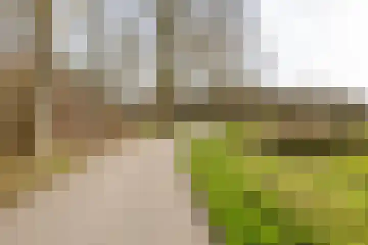 Fossemaheerd 202 Groningen thumbnail 39