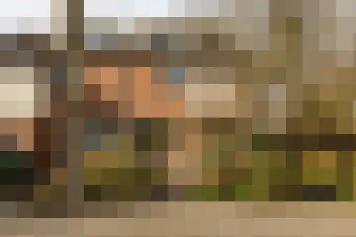 Fossemaheerd 202 Groningen thumbnail 5