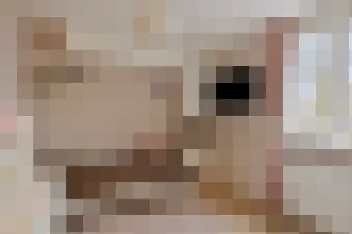 Fossemaheerd 37 Groningen thumbnail 22