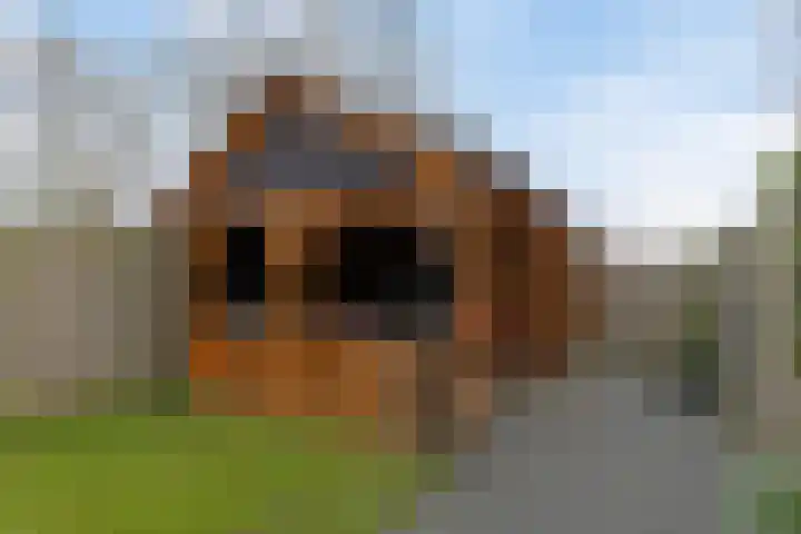 Fossemaheerd 37 Groningen thumbnail 31