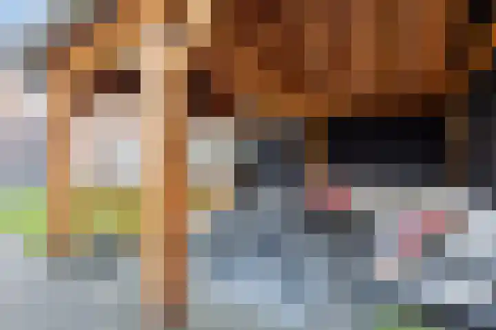 Fossemaheerd 37 Groningen thumbnail 4