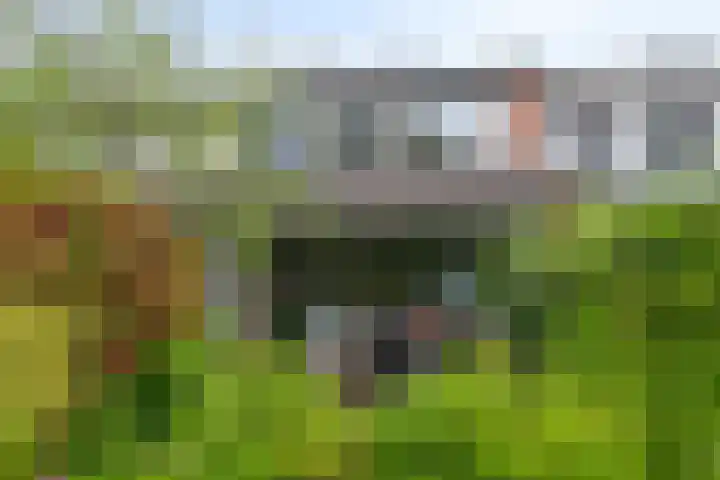 Fossemaheerd 61 Groningen thumbnail 21