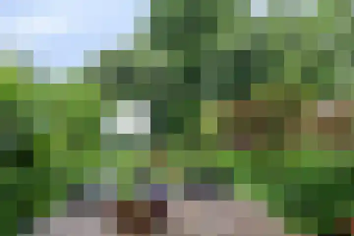 Fossemaheerd 61 Groningen thumbnail 22