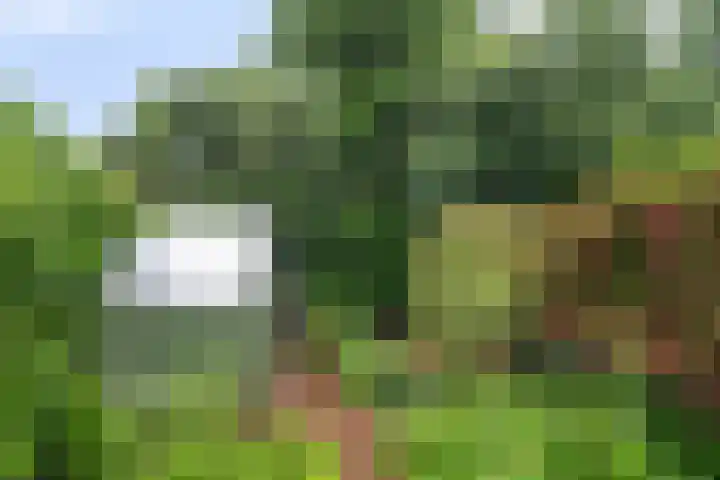 Fossemaheerd 61 Groningen thumbnail 23