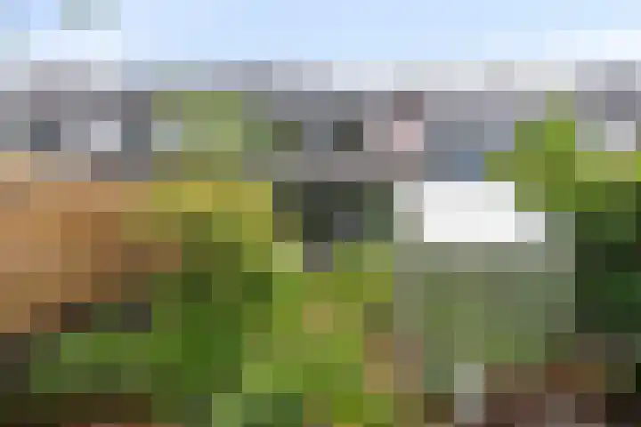 Fossemaheerd 61 Groningen thumbnail 25