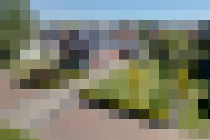 Fossemalaan 6 Nuis