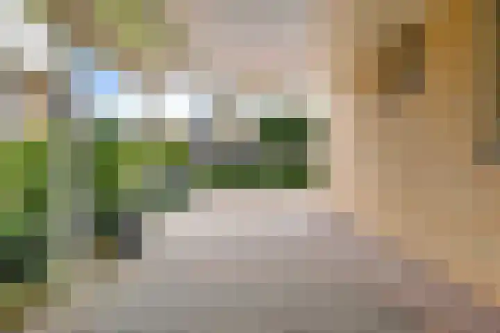 Fossemalaan 9 Nuis thumbnail 26