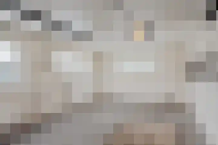 Fossemalaan 9 Nuis thumbnail 28