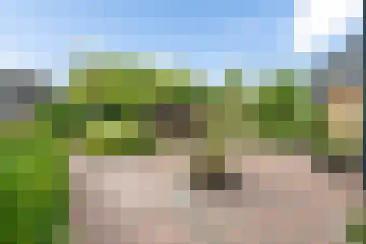 Fossemalaan 9 Nuis thumbnail 30