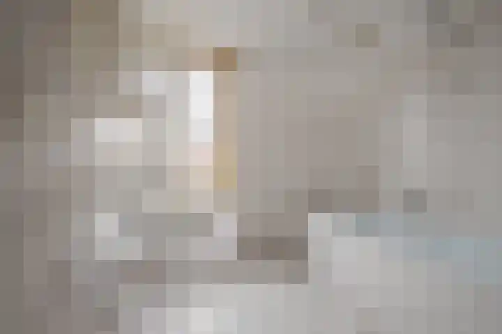 Fossielenerf 190 Heerlen thumbnail 10