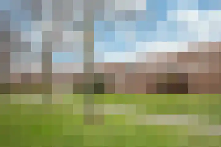 Fossielenerf 190 Heerlen thumbnail 15