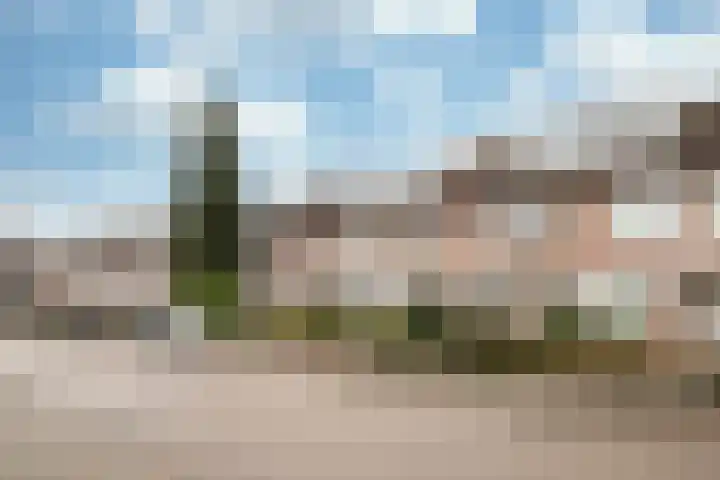 Fossielenerf 190 Heerlen thumbnail 16