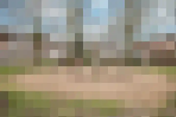 Fossielenerf 190 Heerlen thumbnail 17