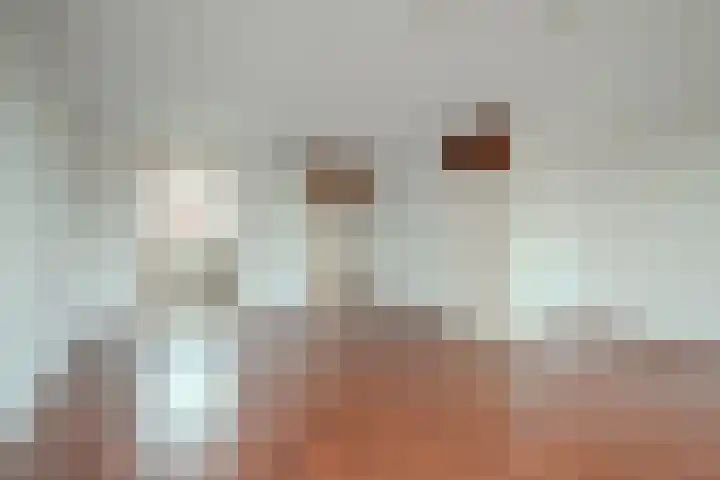 Fossielenerf 190 Heerlen thumbnail 4