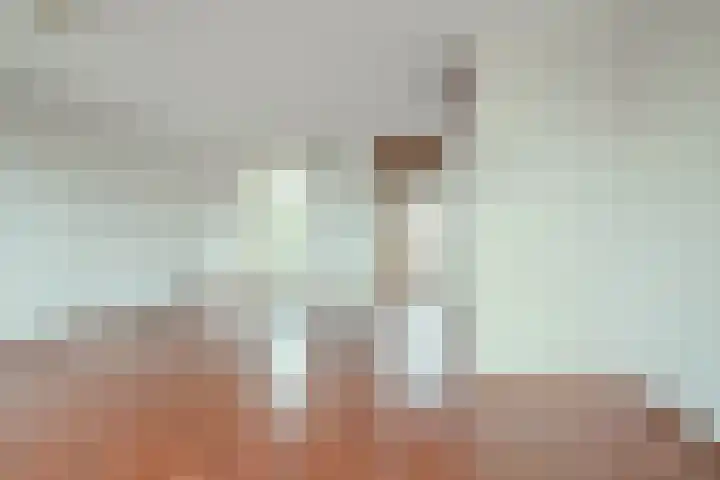 Fossielenerf 190 Heerlen thumbnail 5
