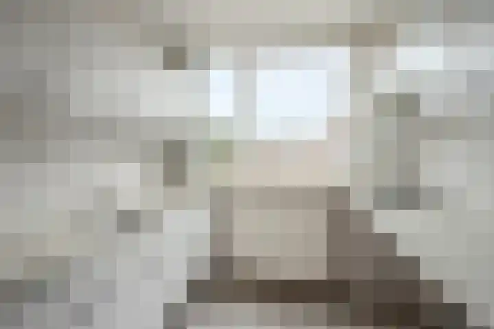 Fossielenerf 190 Heerlen thumbnail 6
