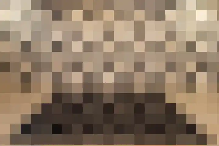 Fossielenerf 512 Heerlen thumbnail 13
