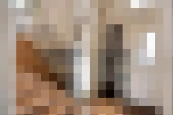 Fossielenerf 512 Heerlen thumbnail 21