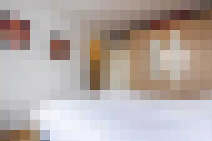 Fossielenerf 512 Heerlen thumbnail 22