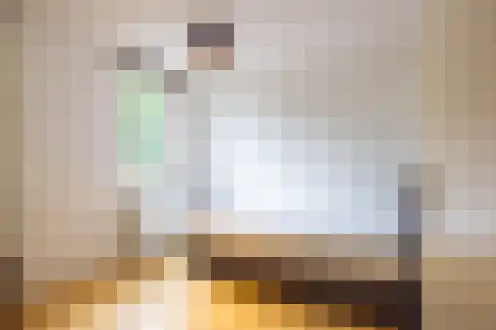 Fossielenerf 512 Heerlen thumbnail 23