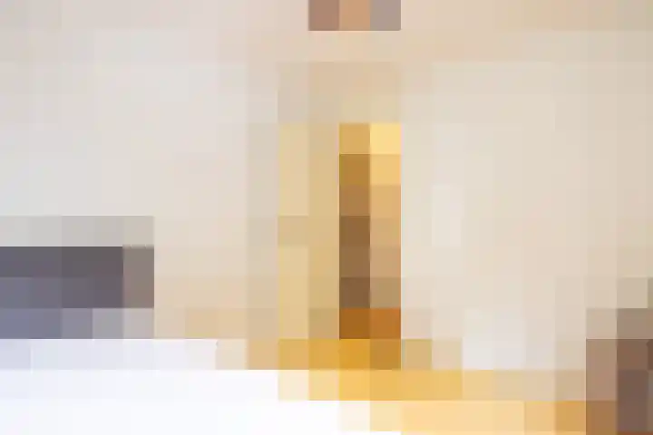 Fossielenerf 512 Heerlen thumbnail 24