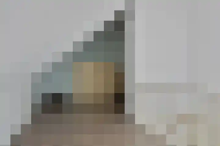 Fossielenerf 512 Heerlen thumbnail 28