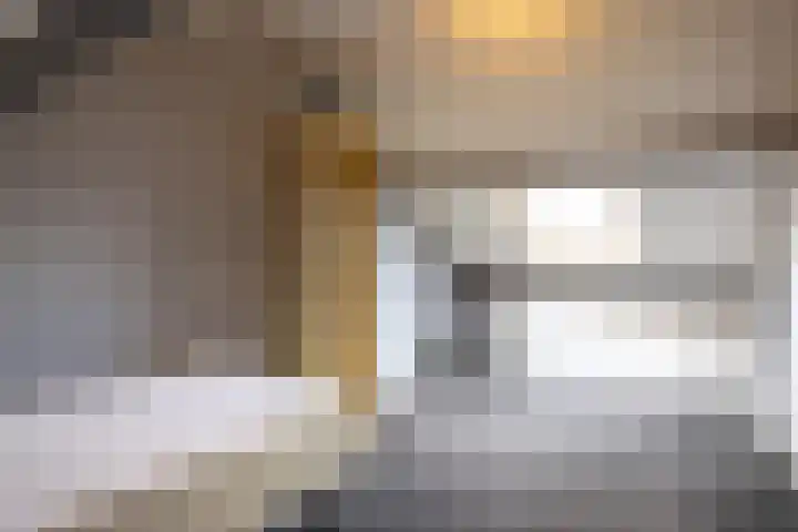 Fossielenerf 512 Heerlen thumbnail 29