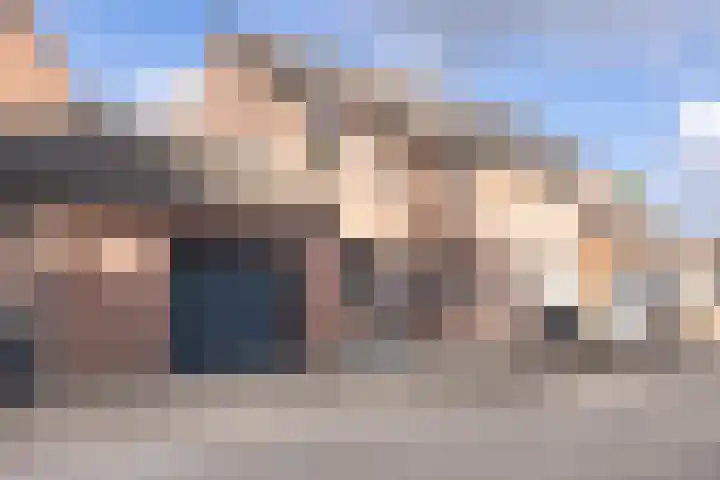 Fossielenerf 512 Heerlen foto 3