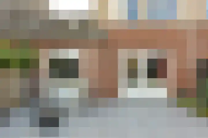 Fossielenerf 512 Heerlen thumbnail 31