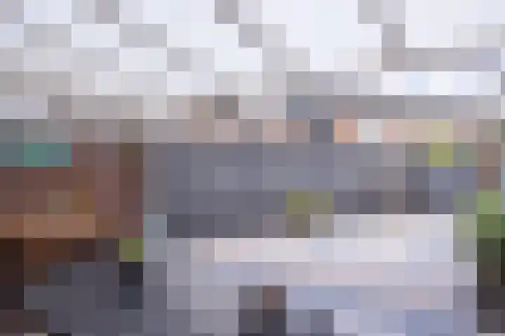 Fossielenerf 512 Heerlen thumbnail 31