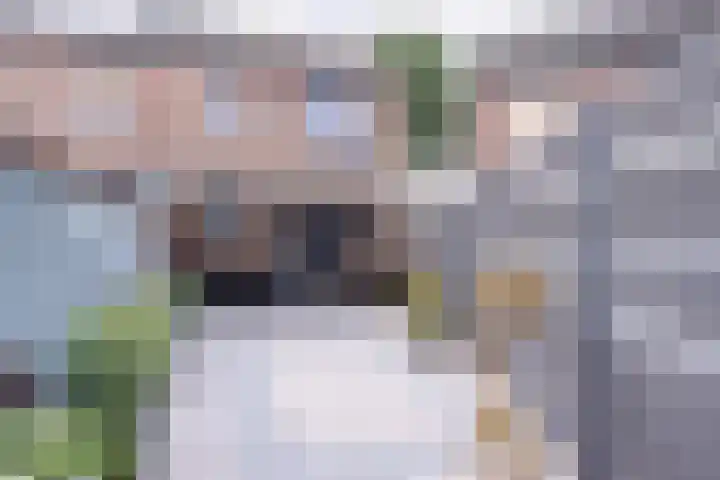 Fossielenerf 512 Heerlen thumbnail 32